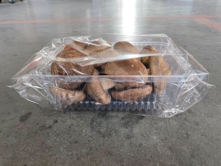 Machine d'emballage de champignons - champignon brun dans un plateau transparent